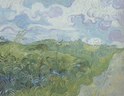 Vincent Van Gogh Green Wheat Fields (nn04)